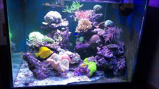 Le Bac De Tests De Neo3Plus