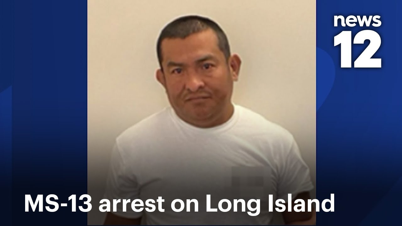 Investigators from ICE arrest suspected MS-13 associate in Brentwood, LI | News 12