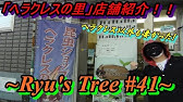 横浜にランバージャック プレオープン中の新店舗に潜入してみた Ryu S Tree 57 カブトムシ クワガタのお店 店舗紹介 Youtube