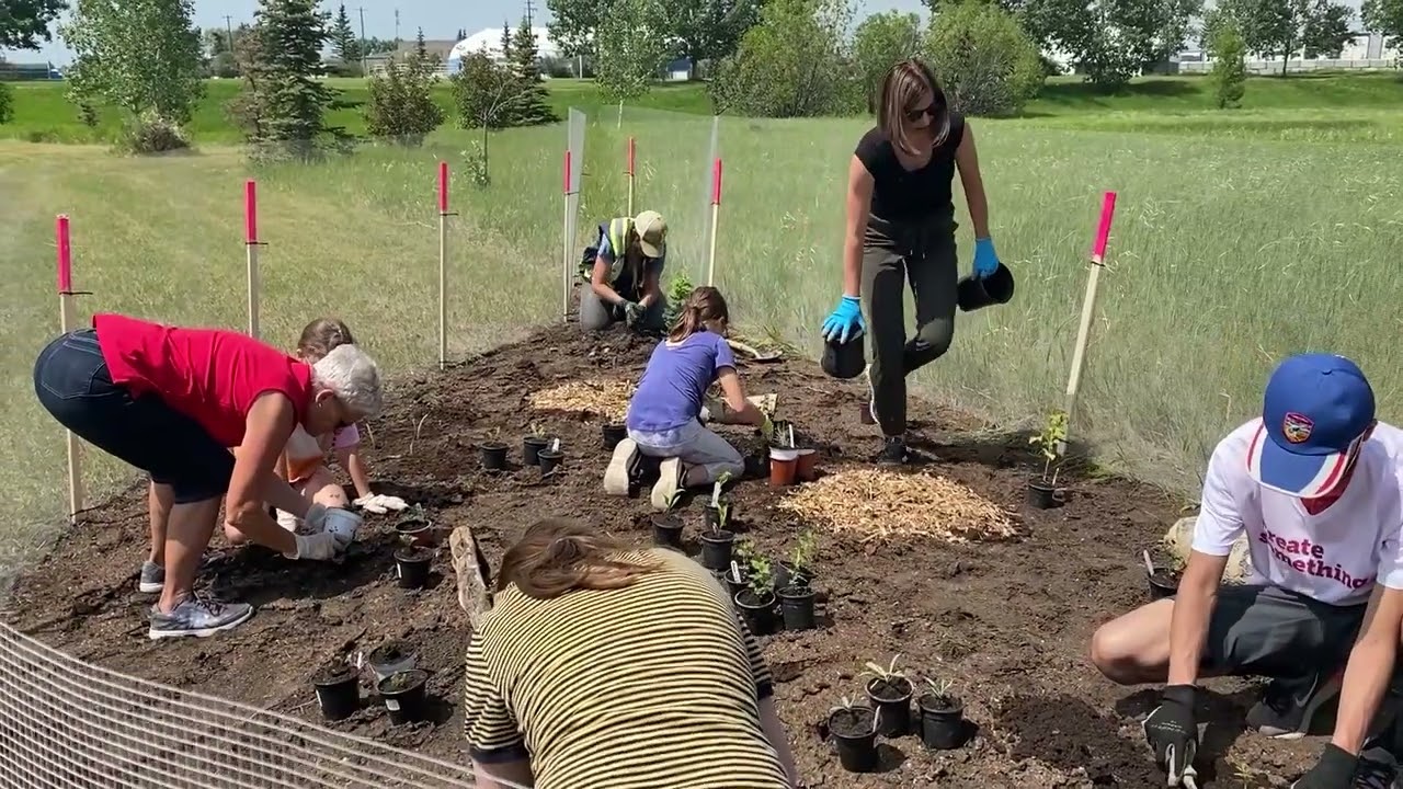 Ashlyn's Pollinator Garden: Bringing Nature to Life in Airdrie