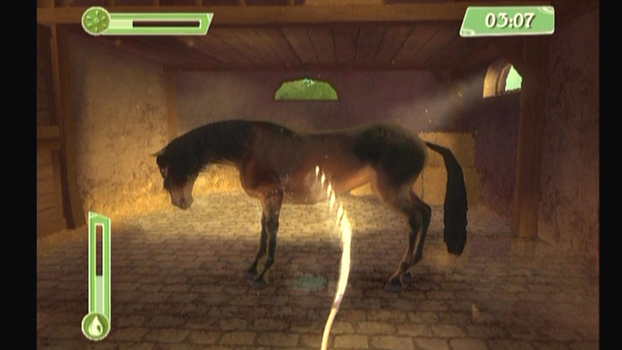 petz horsez