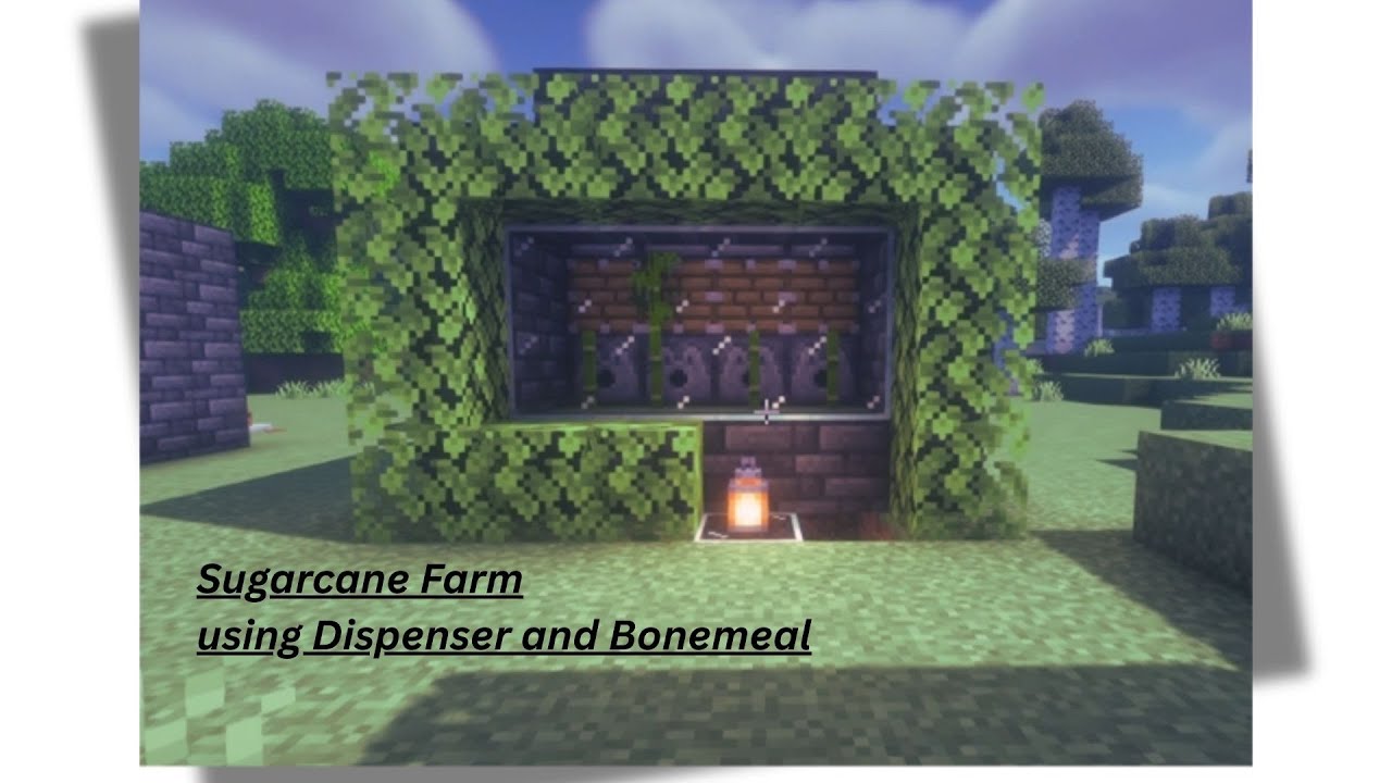 Making Automatic Sugarcane Farm Using Disspenser || 