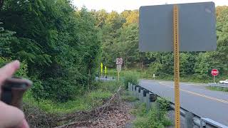 AT 2025 Bears den hostel nobo..a deer a box turtle and a mad RATTLESNAKE!