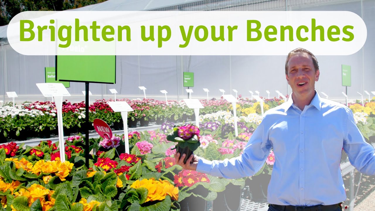 Primula at CAST 2023