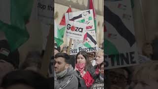 What Really Happened to Gaza Flotilla Activists?