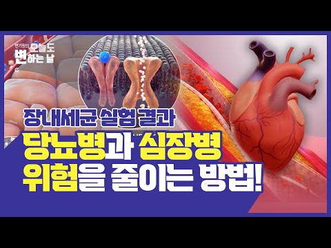 [변한의원] 심장병과 당뇨병 예방을 위해서는 꼭 알아야할 부분! 장내세균 실험 결과