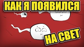 ✅ МУЛЬТ. КАК Я ПОЯВИЛСЯ НА СВЕТ