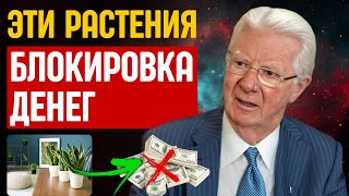 ВНИМАНИЕ: ЭТО РАСТЕНИЕ В ОПРЕДЕЛЕННОМ УЧАСТКЕ ВАШЕГО ДОМА ПРИВЛЕКАЕТ БЕДНОСТЬ! закон притяжения