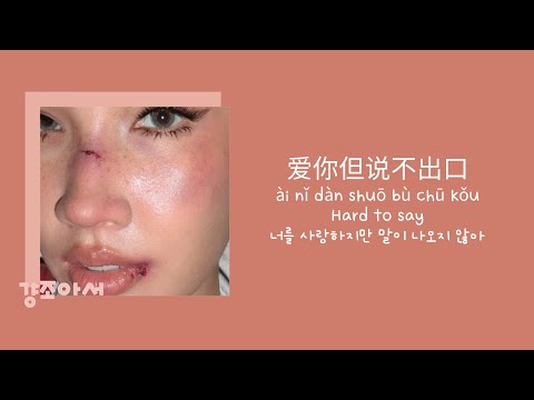 Karencici - 爱你但说不出口 Hard to say 너를 사랑하지만 말이 나오지 않아 | 다시 한 번 기회를 줘 🙊 [대만노래/가사/병음/발음/번역]