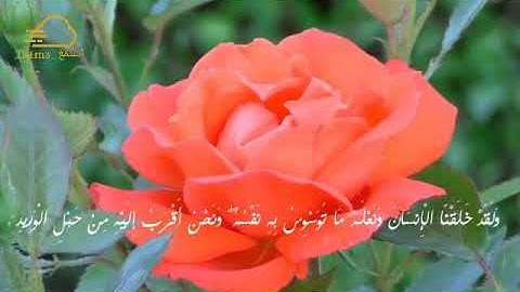 تلاوة عذبة لما تيسر من سورة ق❤️