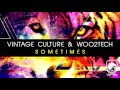 Vintage Culture & WOO2TECH - Sometimes (Radio Edit)