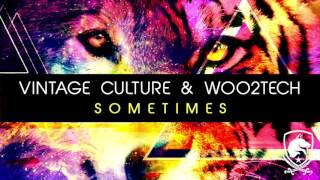 Vintage Culture & WOO2TECH - Sometimes (Radio Edit)