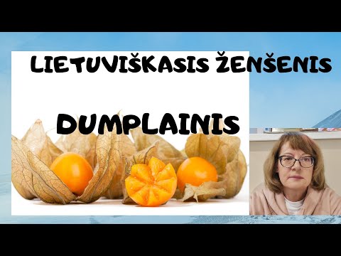 Sveikata | Dumplainis tai lietuviškasis ženšenis