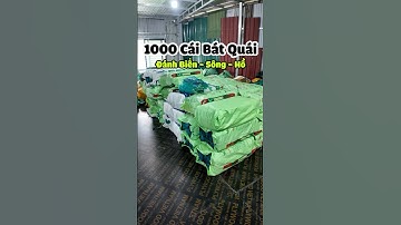 1000 Chiếc Bát Quái Đánh Biển - Sông - Hồ Có Sẵn Tại Xưởng #luoidanhcaatrung