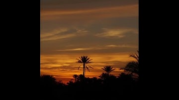 سورة الإسراء  - من بداية السورة إلى الآية(٨) #المصحف #الرحمن