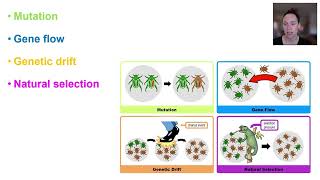 Mechanisms of evolution (Part 1)
