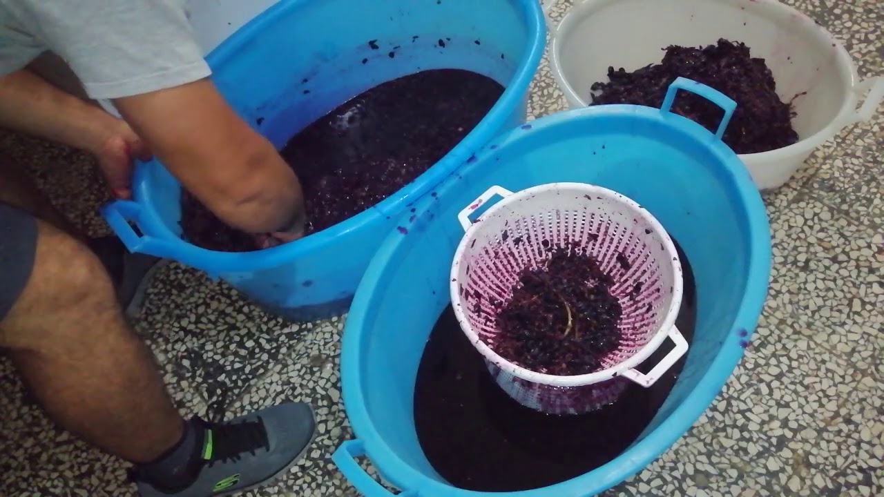 Come fare il vino in modo artigianale, da MicheleExpert- Cropalati- Calabria