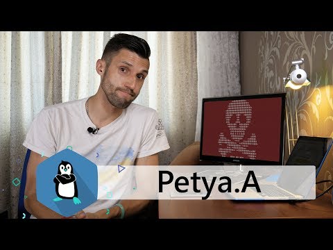 PINGVINалізатор: Чому в Україну запустили Virus Petya.A (вірус Петя)?