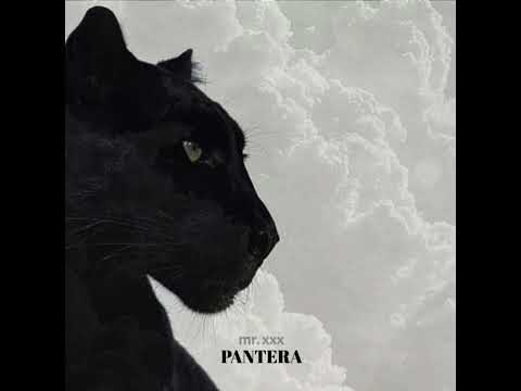 mr.xxx - На ноги