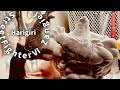ストリートファイターⅥ ザンギエフ 表面処理中 ハリギリさん原型製作