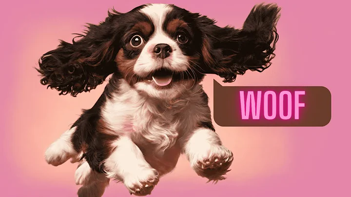 Cavalier King Charles Spaniels | 10 Things You Did...