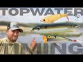 Do YOU Know When You Need To STOP Throwing TOPWATER Baits??