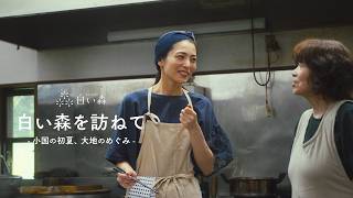 「白い森を訪ねて　ー小国の初夏、大地のめぐみー」【山菜の師匠に教わる初夏の旅／わらび採り・アク抜き・保存食・郷土料理】