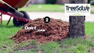 Tree Mulching Mistakes That Harm More Than They Help  #TreeSolve #WinnipegTrees #TreeCareTips