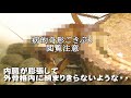 【家G飼育2nd】#10 閲覧要注意・奇形化したトビイロゴキブリ、寿命が延びての弊害か・・病気か・・?