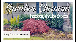 Front Landscape Cleanup | Hedge and Shrub Trimming