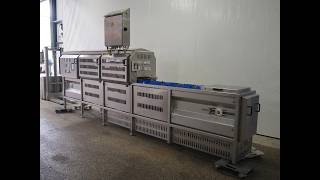 2191-112: ZTI smart machines fruit cutter