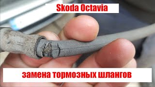 Skoda Octavia замена тормозных шлангов
