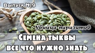 Семена тыквы- энергетическая ценность, польза и вред для человека, совместимость с сырыми продуктами