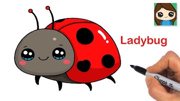 How to Draw a Ladybug Beetle 🐞