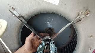 Most Difficult On Site Bearing Repair EVER! by Reuben Sahlstrom 2,552 views 6 months ago 6 minutes, 36 seconds