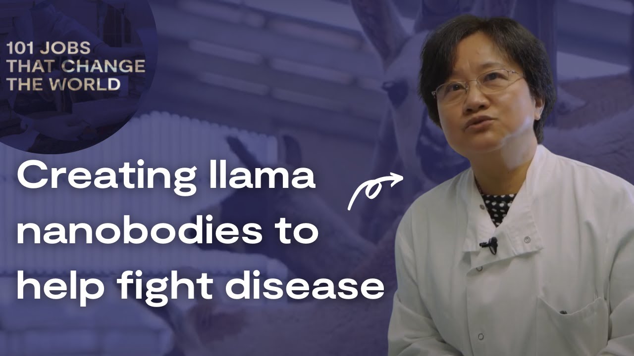 The technician making new COVID-19 treatments with llamas - 101 Jobs That Change The World (Ep 29)