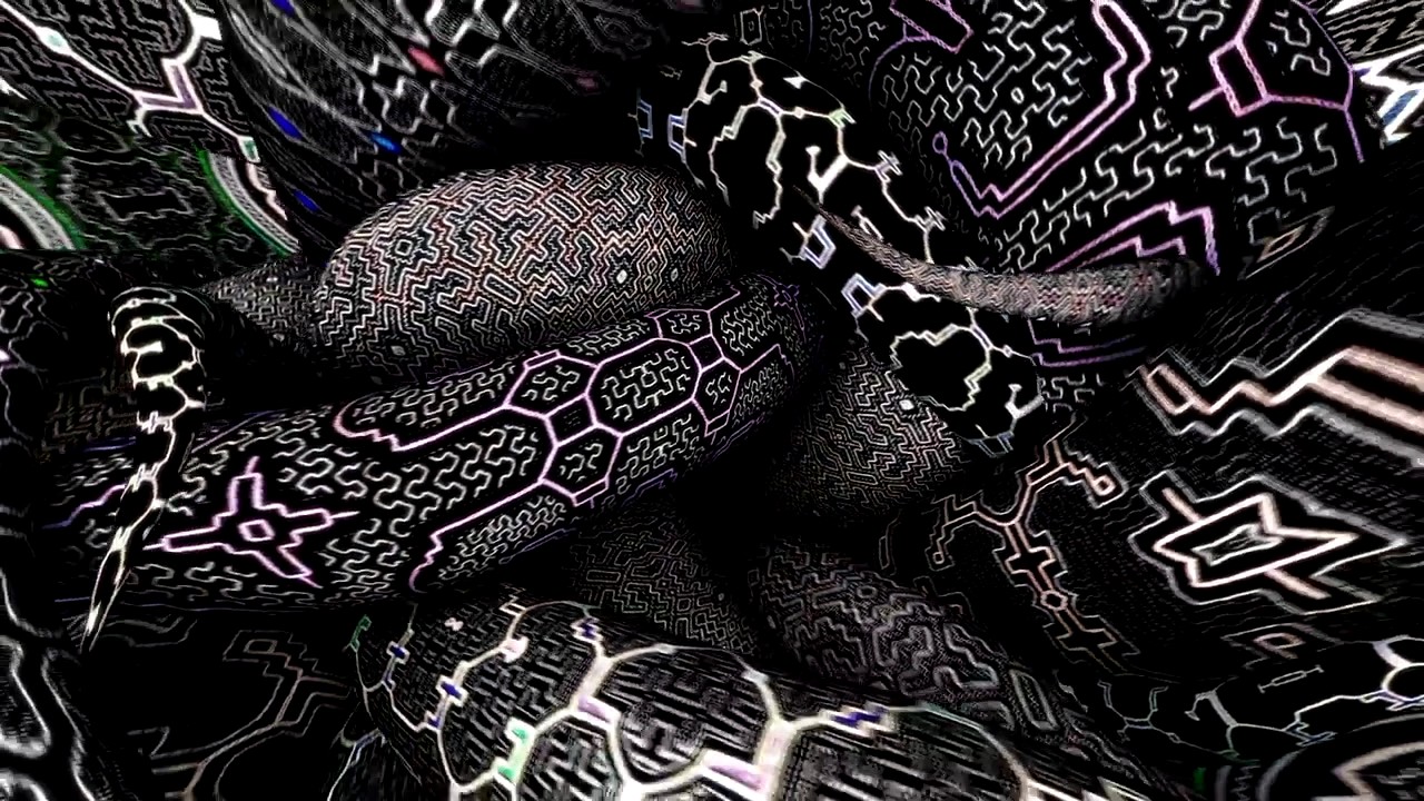 TRUE IDENTITY presents SHIPIBO - The Journey - TRAILER 1 DJ / Liveset / Visual Performance