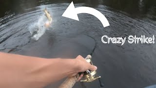 AMAZING Strikes Lead to Double Musky Night! (Northern WI)