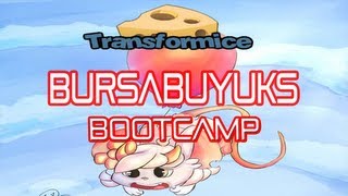 TRANSFORMİCE-Bootcamp #2 Bursabuyuks &. Attentionrod