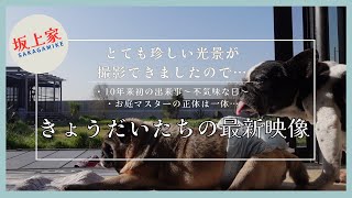 【坂上家最新映像!】とても珍しい光景が撮影できましたので…
