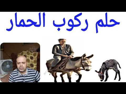 تفسير حلم ركوب الحمار