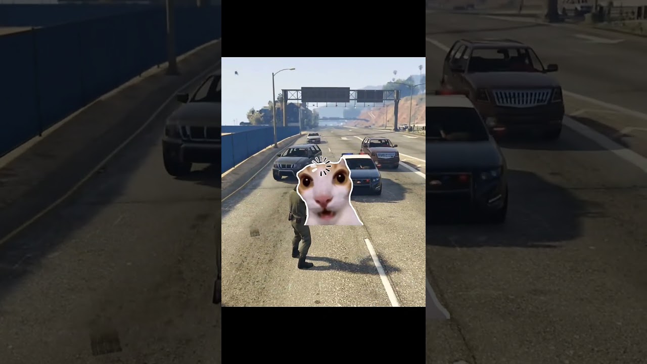 GTA V bug 