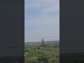 Forest View #street #travel #travel  #forestvideo #forest #streetrider  #streetwalk #nature #india