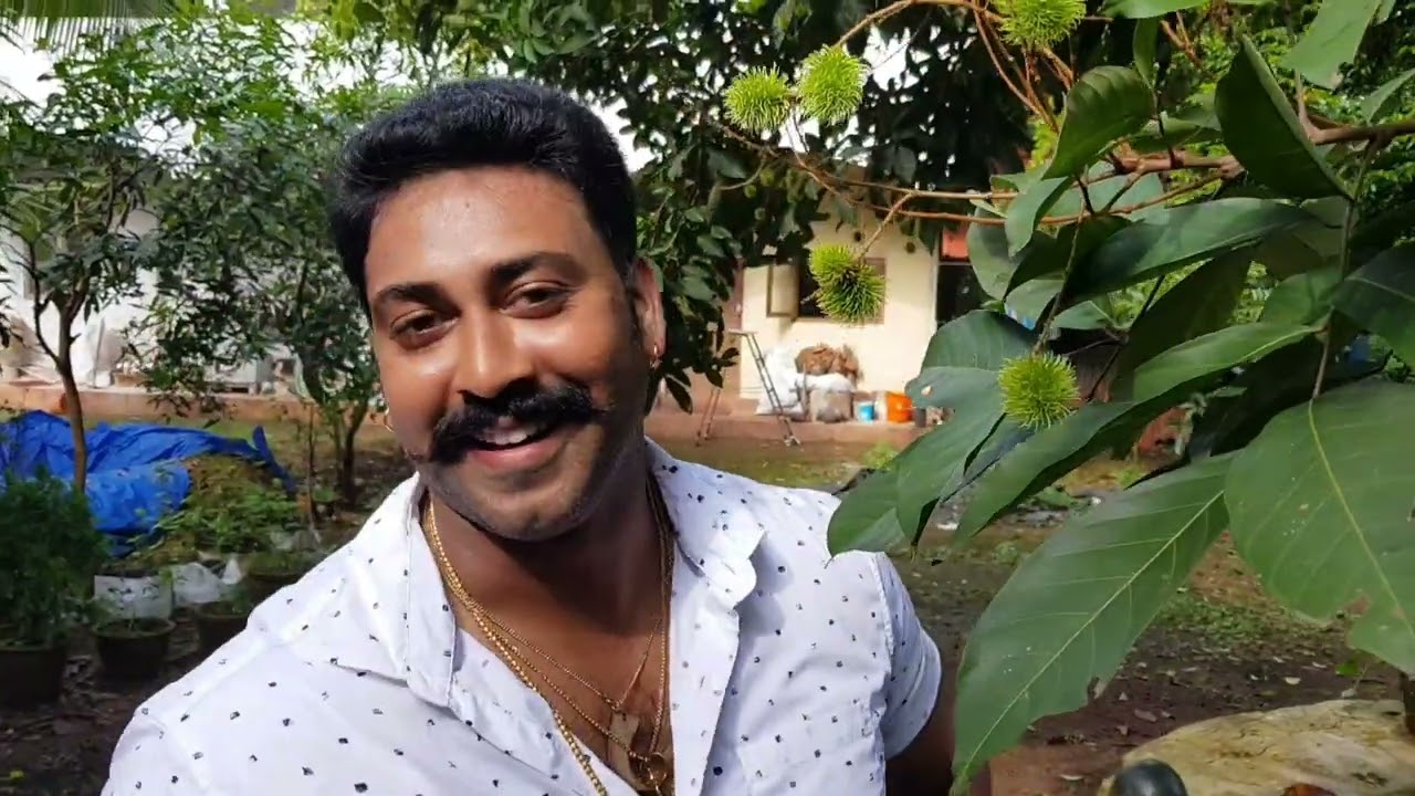 Ronson Vincent vegetables farm at home