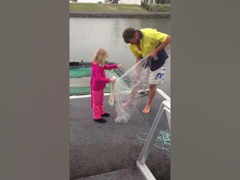 5 year old Reagan throwing 6 foot cast net - YouTube