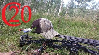 Archery Elk Hunt: Not Giving Up Chapter 4