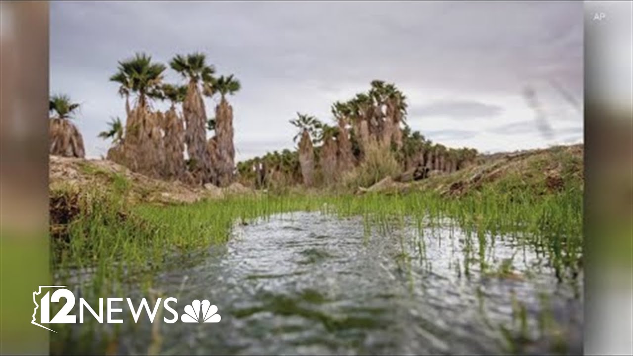 Arizona tribe trying to stop a lithium drilling project