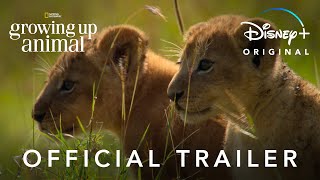 Growing Up Animal | Official Trailer | Disney+
