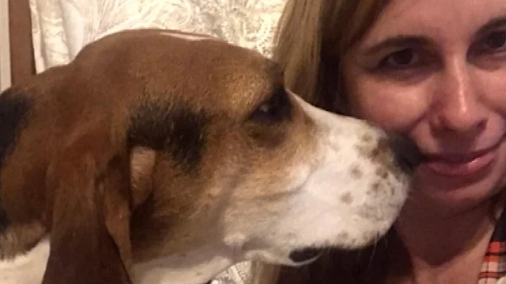 Rescue Dog Smelled Cancer Cells on Owner's Nose