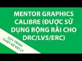 Mentor Graphics Calibre (được sử dụng rộng rãi cho DRC/LVS/ERC)